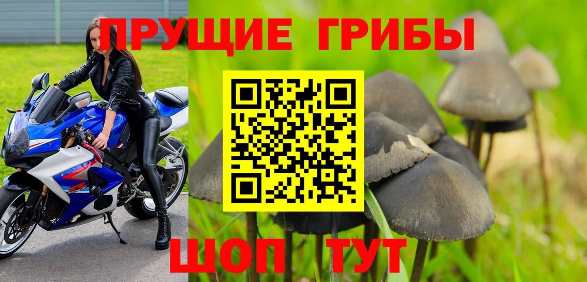 Иваново  Псилоцибиновые грибы мухоморы  магазин продажи   Вход с VPN 